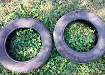 Opony zimowe 175/65 r15, 225/70 r15C
