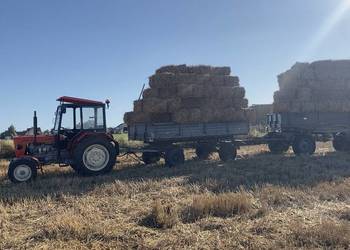 Słoma kostka pszenna  2025