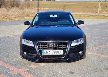 DOINWESTOWANY EGZEMPLARZ