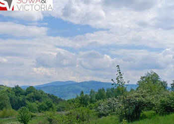 Widok na góry , piękny drzewostan. Przy lesie !