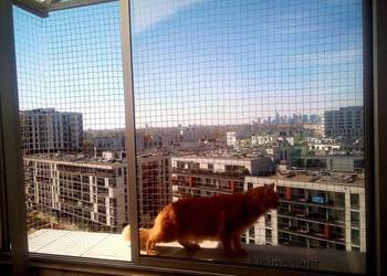 Siatka zabezpieczająca balkon bez wiercenia Warszawa Montaż Siatki Balkon Siatka zabezpieczająca balkon bez wiercenia Warszawa Montaż Siatki Balkon