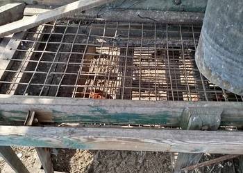 Sortownik do ziemniaków