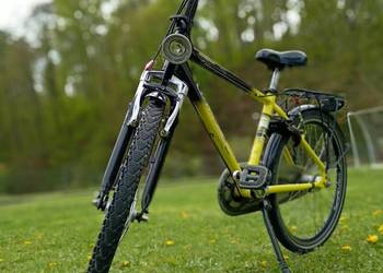 Rower gazelle