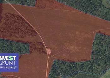 [13,63 ha] przetarg na dzierżawę gruntów rolnych