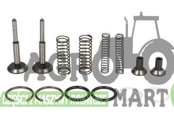 1810678M94, 1810678M91 ZESTAW NAPRAWCZY POMPY HYDR AGCO