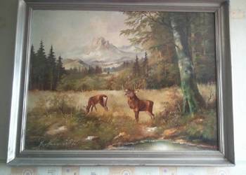 Obraz Olejny.. Jelenie w lesie ,, Sygnowany Austria