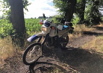 Suzuki DR 650 Dakar