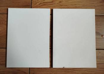 Płytki ścienne 21,5x30 białe 2szt.