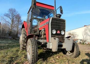 Ferguson MF 255 235 lub zamiana na zetor 7211 export wspomaganie ursus 3512