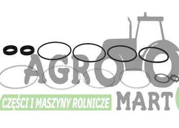 5145656, 82982574 ZESTAW NAPRAWCZY CNH