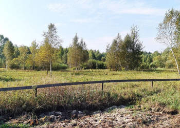 Działka na sprzedaż 5100m2 Ciasne