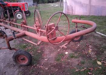 Sprzedam słoneczko 5 Sprzedam słoneczko 5