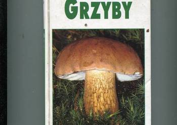 Leksykon przyrodniczy Grzyby - Grunert
