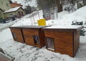 Budy dla psów całe ocieplenie