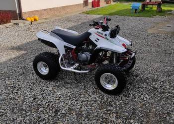 Quad Yamaha Warrior 350