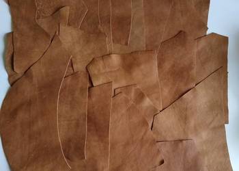 Skóra (340 g) Licowa Włoska średnie i małe kawałki Cienka Brązowy