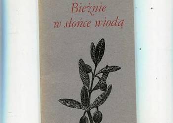 Bieżnie w słońce wiodą - Kubiak