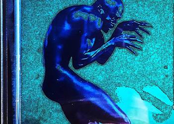 Polecam Wspaniały Album CD SEAL- Album – Human Being