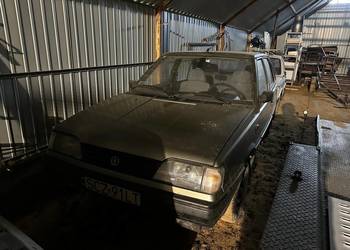 Polonez Caro