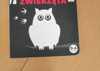 Zwierzęta  Książeczka kontrastowa dla dzieci kapitan nauka
