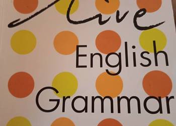 Live english grammar beginners