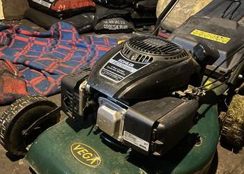 Kosiarka spalinowa Vega