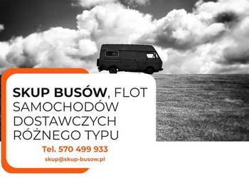 serwis www Skup-busow pl - autohandel