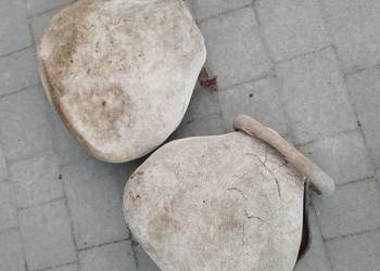 Siedzenia MZ es jaskółka trophy