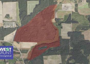 [15,56 ha] przetarg na dzierżawę gruntów rolnych