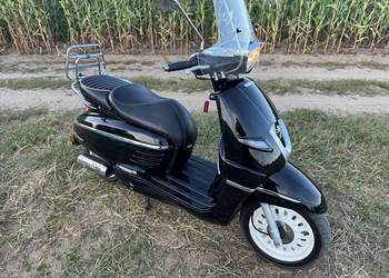 Peugeot Django 2016r 4t