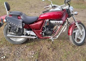 Czoper daelim 125/150