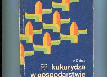 Kukurydza w gospodarstwie wielkoobszarowym - Dubas