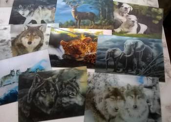 pocztówki (widokówki) trójwymiarowe - zwierzęta pocztówki (widokówki) trójwymiarowe - zwierzęta