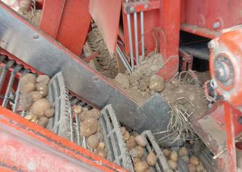 Grimme sr 80-40 w dobrym stanie