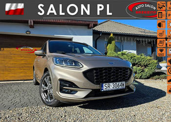 Ford Kuga serwis ASO, bezwypadkowy III (2019-)
