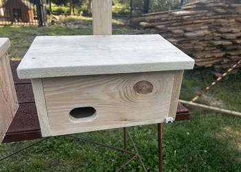 Budki lęgowe dla jerzyków - ptaków