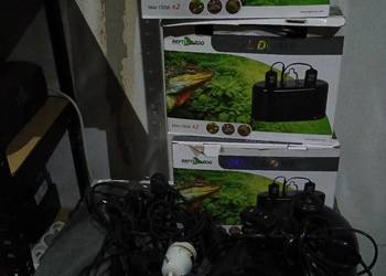 Klosze terarystyczne