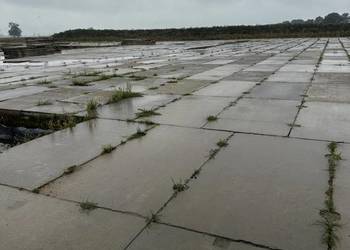 SKUP płyty drogowe betonowe MON mury oporowe tetki elki silosy CAŁA POLSKA