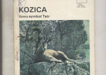 Kozica żywy symbol Tatr