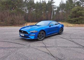 Ford Mustang 2.3 ecoboost Ford Mustang 2.3 ecoboost