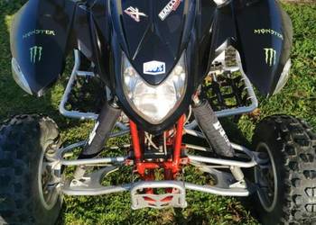 Quad Acess Lucky Star 300 z homologacja l7e