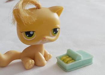 Kotek Hasbro z puszeczka rybki