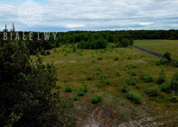 Grunt Nowe Borsuki 1200m2