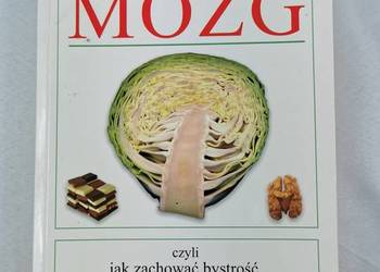 Nasz wspaniały mózg