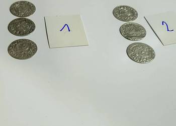 Sześć srebrnych półgroszy z okresu panowania króla Zygmunta III Wazy.