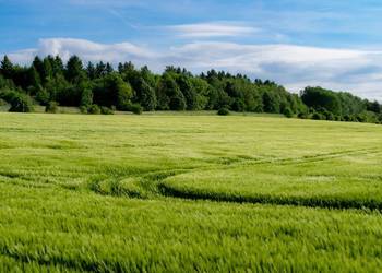 Pomoc w uzgodnieniu dokumentacji środowiskowej, analiza, opinie