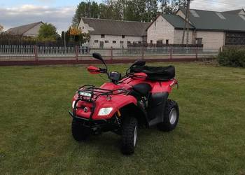 Quad can am rally 200