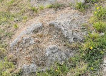 Betonowe wylewki końcowe z gruszki