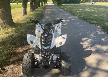 Sprzedam/zamienię Bashan 150