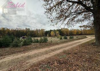 Urokliwa działka z możliwością zabudowy w otoczeniu lasów